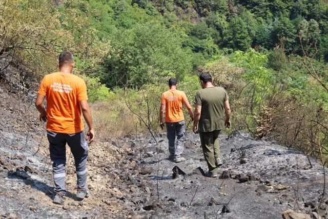 Büyükşehir Orman Yangınlarında Hayvanlar İçin Seferber Oldu